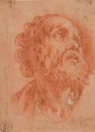 THE HEAD OF A BEARDED MAN