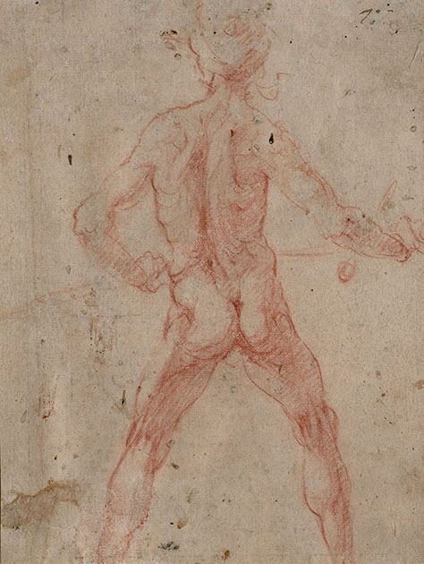 STANDING MALE NUDE VIEWED FROM THE BACK